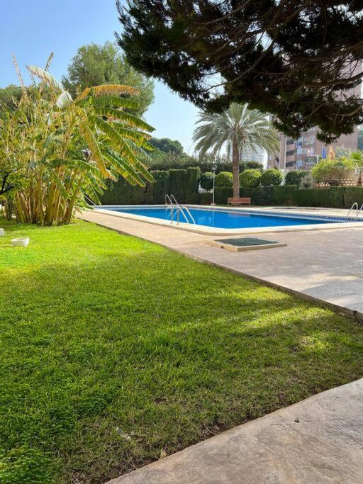 Apartamento Levante Daire Alicante Dış mekan fotoğraf